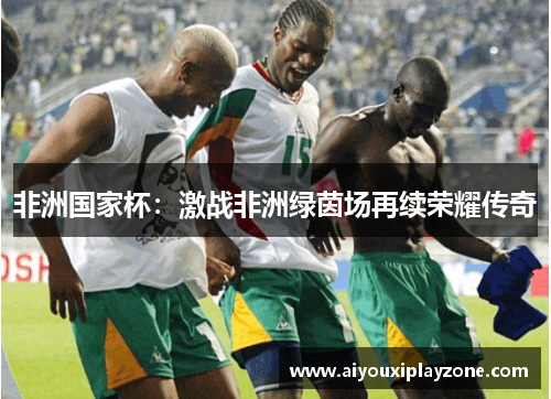 非洲国家杯：激战非洲绿茵场再续荣耀传奇